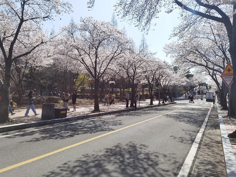 800微信图片_20230327132950.jpg